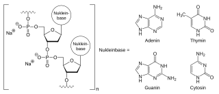 Defibrotid-Natriumsalz, schematisch