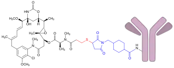 Struktur von Trastuzumab-Emtansin
