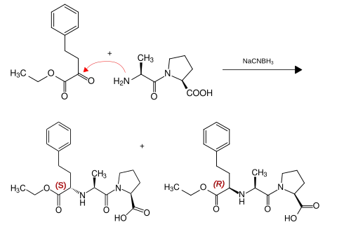 Bildung von Stereoisomeren von Enalapril