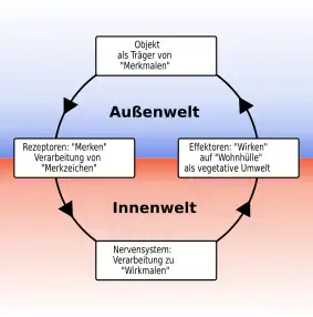 Funktionskreis nach Jakob von Uexküll als Regelkreis auf der vegetativen Stufe