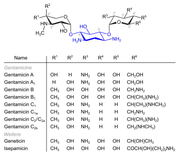 Gentamicine und verwandte Verbindungen (blau: Desoxystreptaminstruktur)