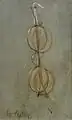 George Cope († 1929)Pair of spectacles1879