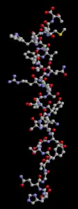 Glucagon
