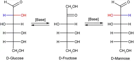 Glucose-Fructose-Mannose-Gleichgewicht