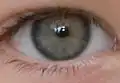 graues Auge