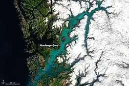 Algenblüte von G. huxleyi im Mai 2020 im Hardangerfjord, Norwegen