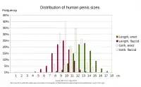 Verteilung der Penisgrößen. Erigierte Penisse (grün) sind zu 45 % zwischen 12 und 14 cm lang und haben zu 81 % einen Umfang zwischen 10 und 13 cm.