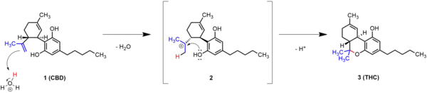 Intramolekulare cyklisierung von CBD zu Δ9-THC