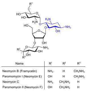 Neomycine (blau: Desoxystreptaminstruktur)