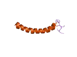 Cathelicidine