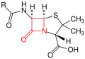 Grundstruktur der Penicilline – der β-Lactamring ist rot markiert.