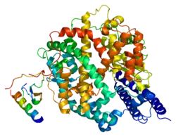 Angiotensin-konvertierendes Enzym 2