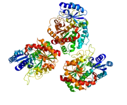 Carboxypeptidase B2