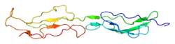 Complement receptor type 1