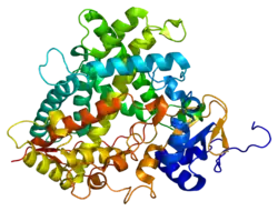 Cytochrom P450 1A2