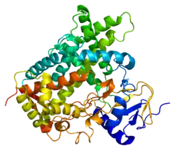 Cytochrom P450 2C19
