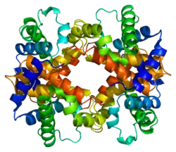 Δ-Globin