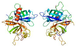 Gewebespezifischer Plasminogenaktivator