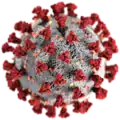 3D-Grafik des SARS-CoV-2-Virions (eingefärbtes Modell)