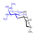 Spectinomycin(blau: Actinamin-Struktur)