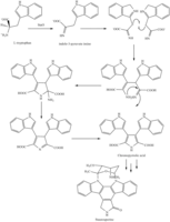 Biosynthese von Staurosporin