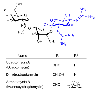 Strepotomycine (blau: Streptidinstruktur)