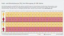 Körperanalysen Normalwerte; Fett- und Muskelmasse in %