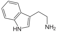 Tryptamin