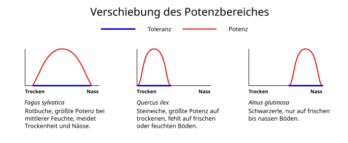 Grafik der Ökologischen Existenzbereiche und Toleranz