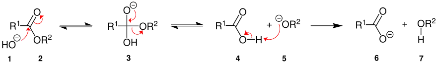 Verseifung Mechanismus
